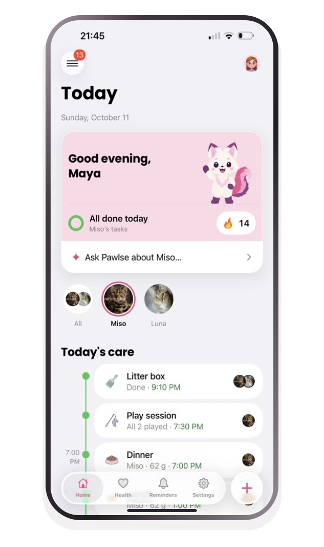 Pawlse Today app screen