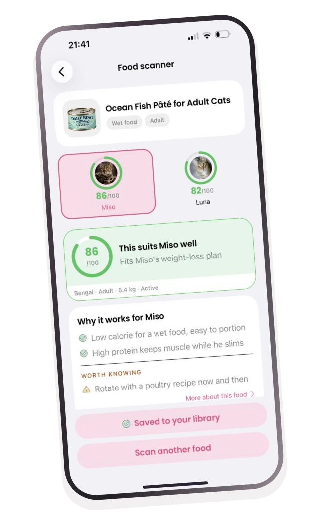 Pawlse Food Scanner screen with generic cat-food product